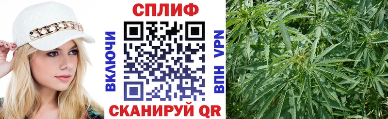 МАРИХУАНА план  Гулькевичи 